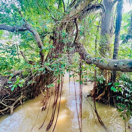 Sigiriya River Side Villa מראה חיצוני תמונה
