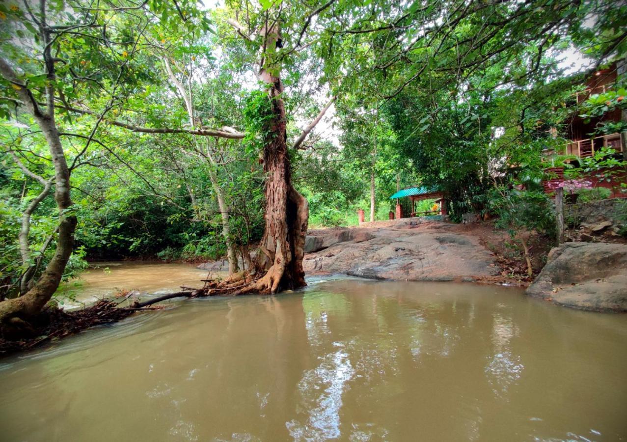 Sigiriya River Side Villa מראה חיצוני תמונה