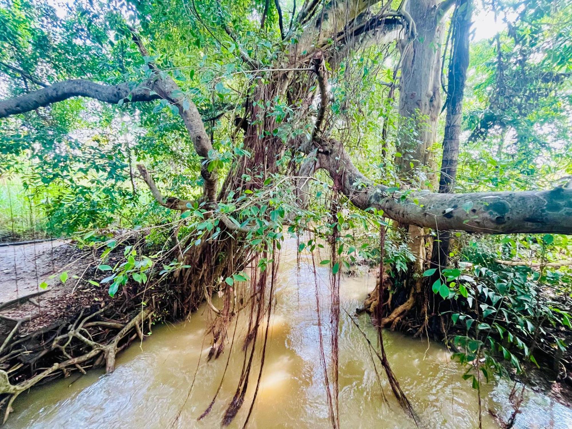 Sigiriya River Side Villa מראה חיצוני תמונה