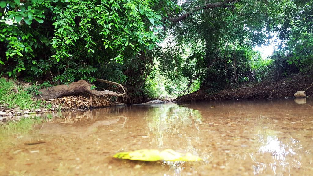 Sigiriya River Side Villa מראה חיצוני תמונה